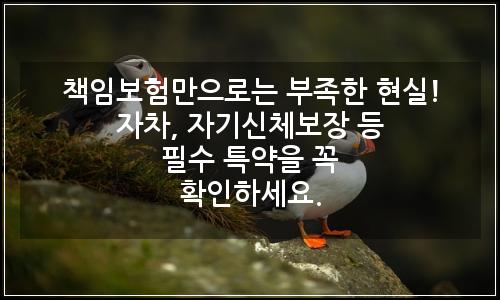오늘의 이미지