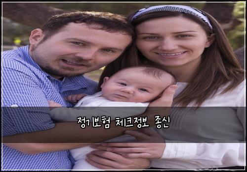 정기보험 체크정보  종신
