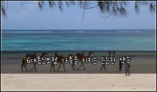 6대종신보험: 가족을 지키는 든든한 약속