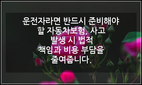오늘의 이미지