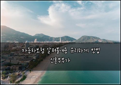 자동차보험 살펴볼내용  유리하게 방법 신혼부부가