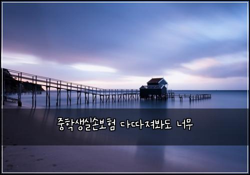 중학생실손보험 다따져봐도  너무