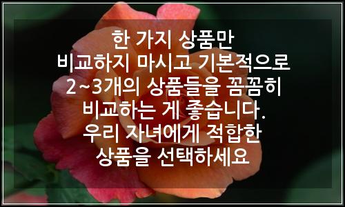 오늘의 이미지