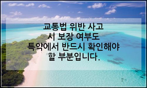 오늘의 이미지