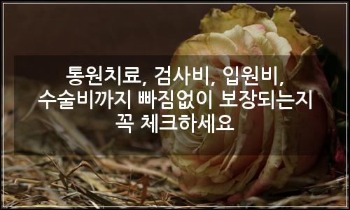 오늘의 이미지