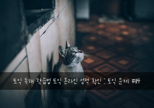 토익 독해 학습법 토익 온라인 성적 확인 : 토익 문제 #114