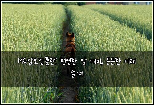 MG암보장플랜: 현명한 암 대비, 든든한 미래 설계