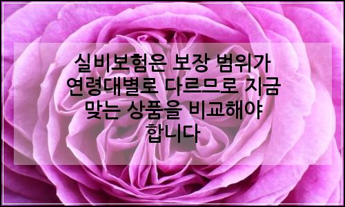오늘의 이미지