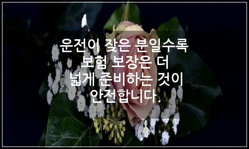 오늘의 이미지