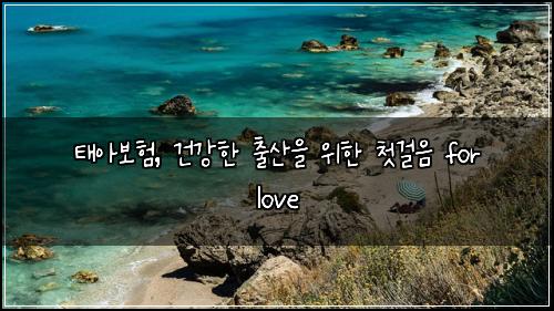 태아보험, 건강한 출산을 위한 첫걸음 for love