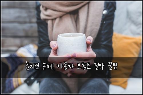  놓치면 손해! 자동차 보험료 절약 꿀팁