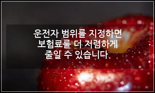 오늘의 이미지