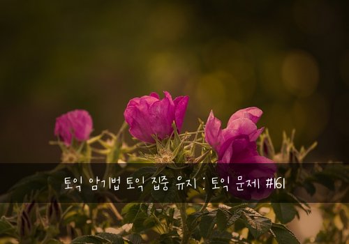 토익 암기법 토익 집중 유지 : 토익 문제 #161