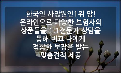 오늘의 이미지
