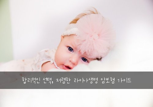  합리적인 선택, 저렴한 라이나생명 암보험 가이드