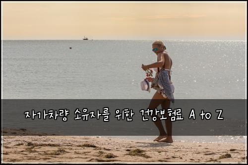 자가차량 소유자를 위한 건강보험료 A to Z