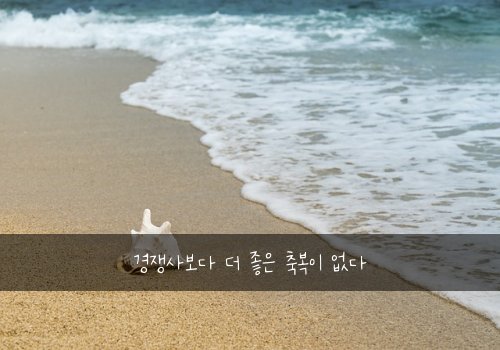 경쟁사보다 더 좋은 축복이 없다