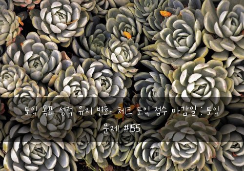 토익 목표 성적 유지 변화 체크 토익 접수 마감일 : 토익 문제 #155