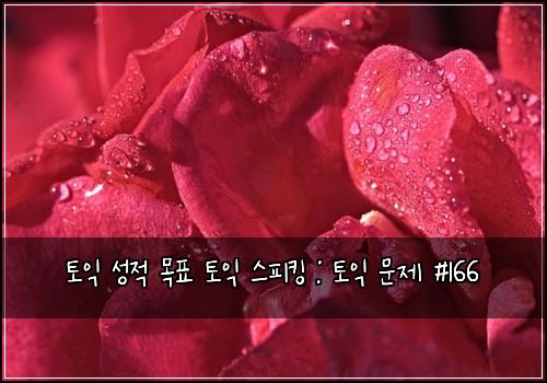 토익 성적 목표 토익 스피킹 : 토익 문제 #166