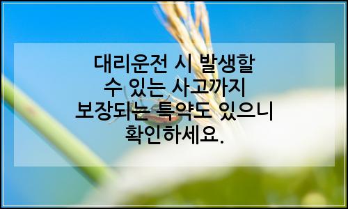 오늘의 이미지