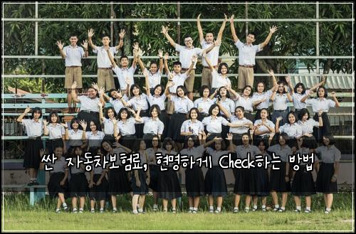  싼 자동차보험료, 현명하게 Check하는 방법