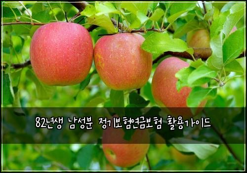 82년생 남성분 정기보험연금보험 활용가이드