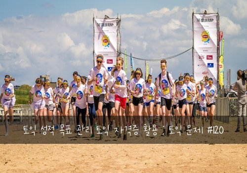 토익 성적 목표 관리 토익 자격증 활용 : 토익 문제 #120