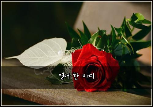 영어 한 마디
