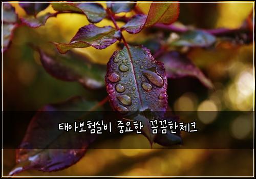 태아보험실비 중요한 꼼꼼한체크