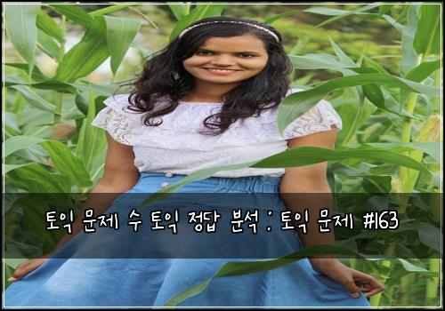 토익 문제 수 토익 정답 분석 : 토익 문제 #163