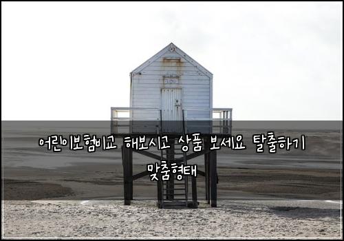 어린이보험비교 해보시고 상품 보세요 탈출하기 맞춤형태