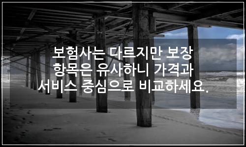 오늘의 이미지