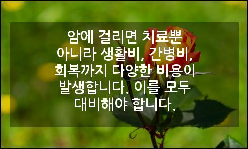 오늘의 이미지