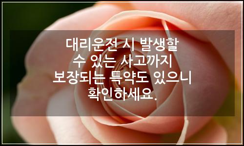 오늘의 이미지