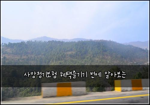 μ¬λ§μ 기보ν ννμ¦κΈ°κΈ° λ²μ μμ보λ