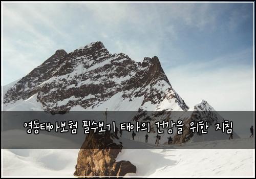 영동태아보험 필수보기  태아의 건강을 위한 지침