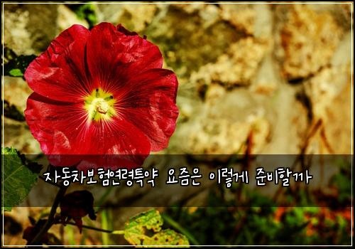 자동차보험연령특약 요즘은 이렇게 준비할까