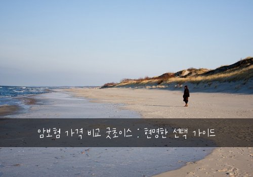 암보험 가격 비교 굿초이스 : 현명한 선택 가이드