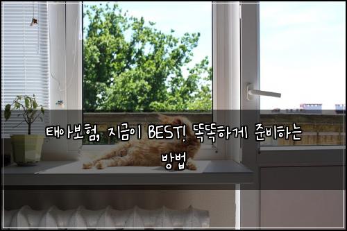 태아보험, 지금이 BEST! 똑똑하게 준비하는 방법