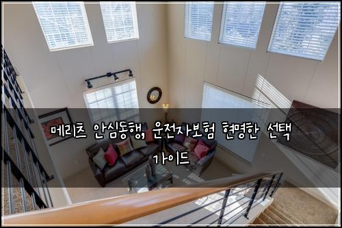 메리츠 안심동행, 운전자보험 현명한 선택 가이드