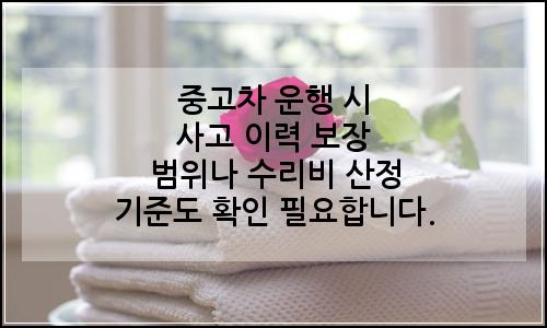 오늘의 이미지