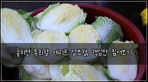  놓치면 후회할 메리츠 암보험, 핵심만 짚어보기