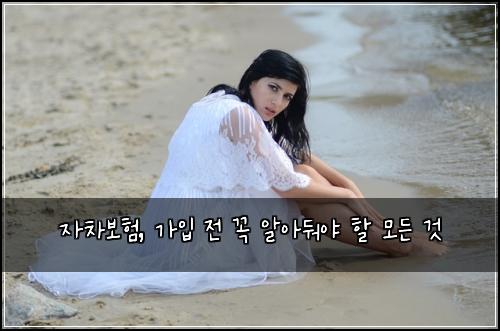 자차보험, 가입 전 꼭 알아둬야 할 모든 것