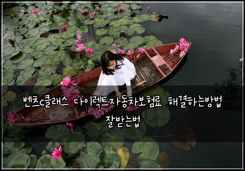 벤츠c클래스 다이렉트자동차보험료 해결하는방법 잘받는법