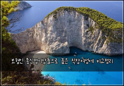 보험인 종신정기상품으로 높은 직장여성에 비교정리