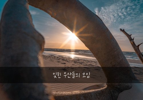 잊힌 우산들의 모임