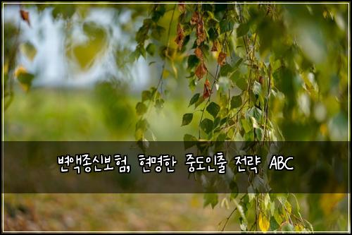  변액종신보험, 현명한 중도인출 전략 ABC