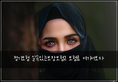 정기보험 실속있는보장보험2 보험료 여기서보자