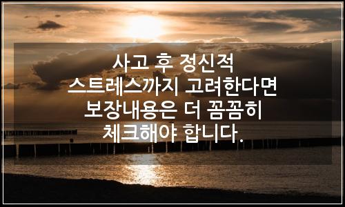 오늘의 이미지