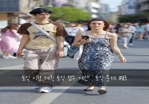 토익 시험 계획 토익 점수 계산 : 토익 문제 #113